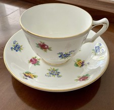 Royal Victoria Fine Bone China Tea Cup and Saucer Floral Staffordshire