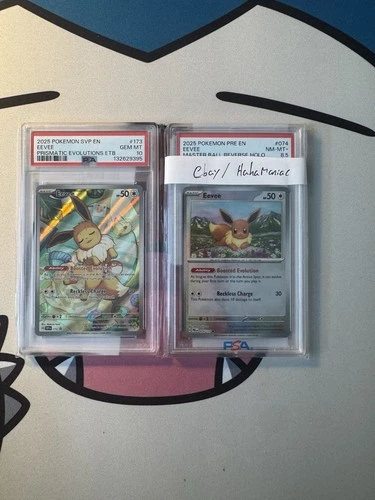 2025 POKEMON SVP EN-SV BLACK STAR PROMO #173 EEVEE PSA 10