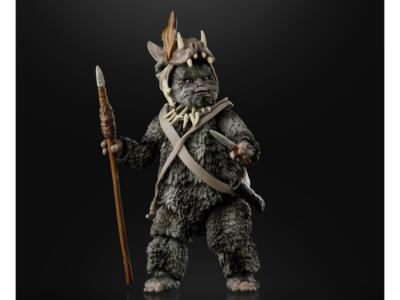 Star Wars Black Series ~ TEEBO (EWOK)(RETURN OF THE JEDI) ACTION
