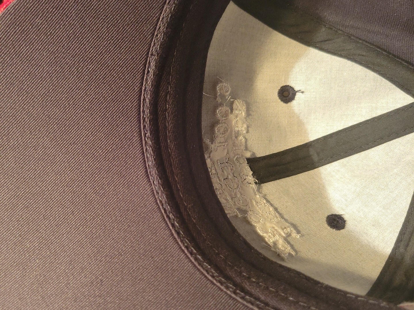 Picture 8 of 8