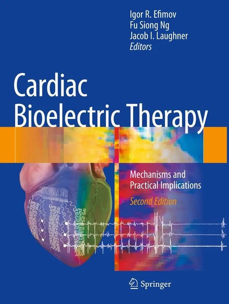 Igor R. Efimov (U. A.) | Cardiac Bioelectric Therapy | Taschenbuch | Englisch-image