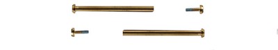 Schrauben Casio goldfarben für die Bandbefestigung GMW-B5000TB-1 GMW-B5000TCM-1