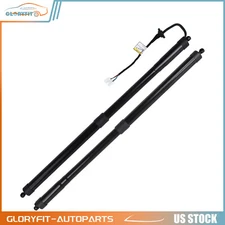 Rear Left+Rear Right For 2017-20 Honda CR-V Lift Supports 2Pcs D2407 74961TLA305