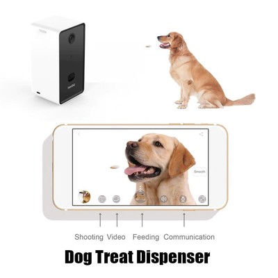 remote dog treat
