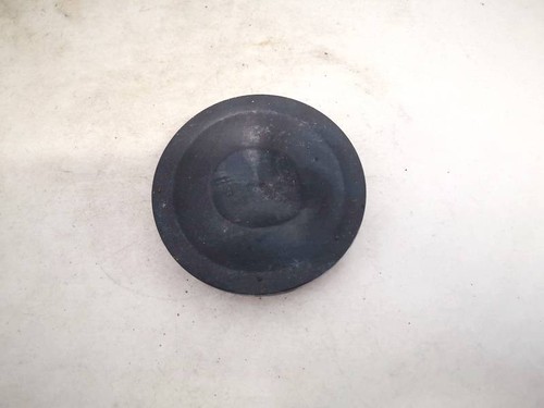 153873 Abdeckung (scheinwerfer Glühlampe Staub Kunststoffdeckel) DE1815860-79