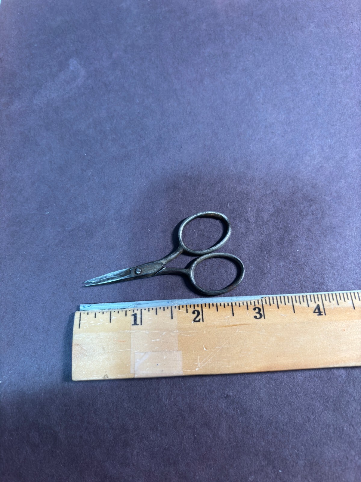 Picture 5 of 5
