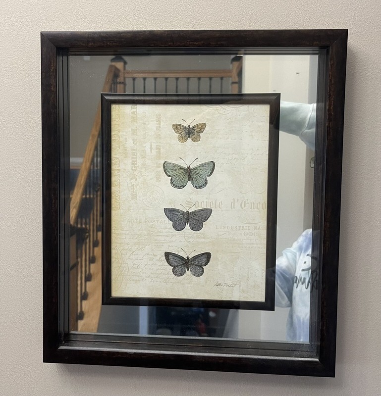 Butterfly Mirror/Picture 16”X14” Wall  Decor