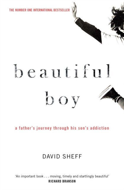 Beautiful Boy by David Sheff (Paperback Book)