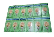 Goodles Vegan Is Believin' Mac N Cheese 5.25 oz (Pack Of 12) Best By 08/13/26