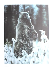 Randy Fehr Hand Signed Numbered Limited Unexpected Snow Bear 1990
