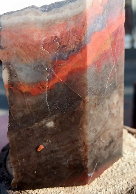Volcanic Petrified Wood Limb Cast Cube Cut To Display Vivid Colors + Patterns 