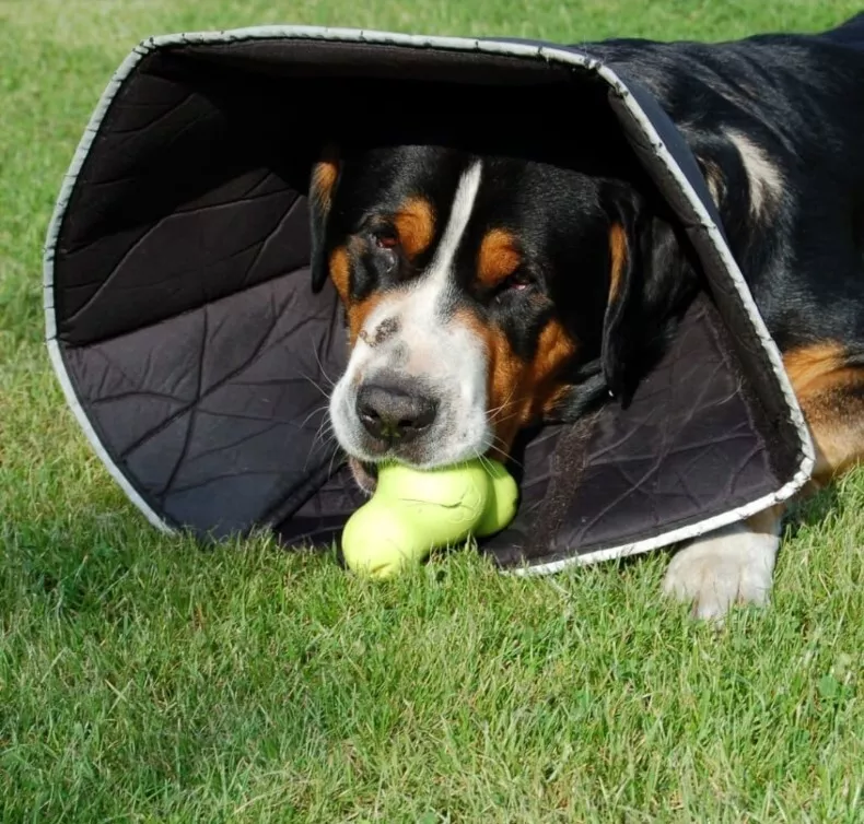 Comfy top cone l