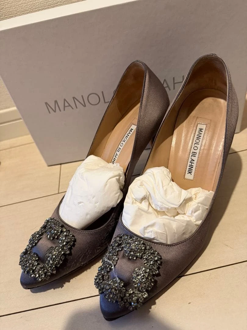 Manolo Blahnik Hangisi Pump Heels for Women for sale | eBay