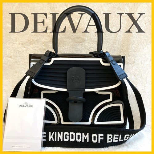[Super Rare] DELVAUX Brillon MM Limited Model Very Good Condition Hard to