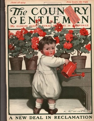 1924 Country Gentleman June 28 - A dozen new wheats; overland Blue bird Ad