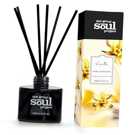 Reed Diffuser Scented Reed Diffusers for Home, Come with 6 Reed Vanilla