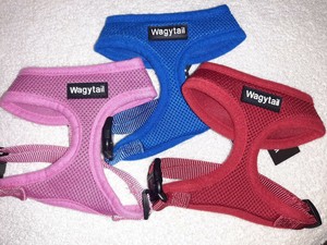 wagytail harness