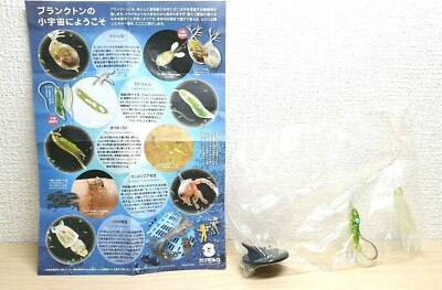 Kaiyodo Capsule Q Museum Microcosmos Euglena Gracilis figure NEW