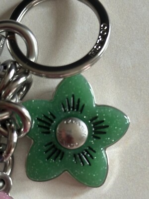 Coach Bag Charm Key chain SILVER MULTI CR924 NWT Wildflower