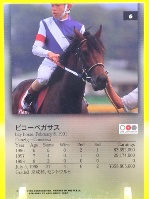 Biko Pegasus/Thoroughbred Horse Racing Card Vintage TCG BANDAI