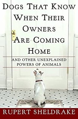 Dogs That Know When Their Owners Are Coming Home : And Other Unex
