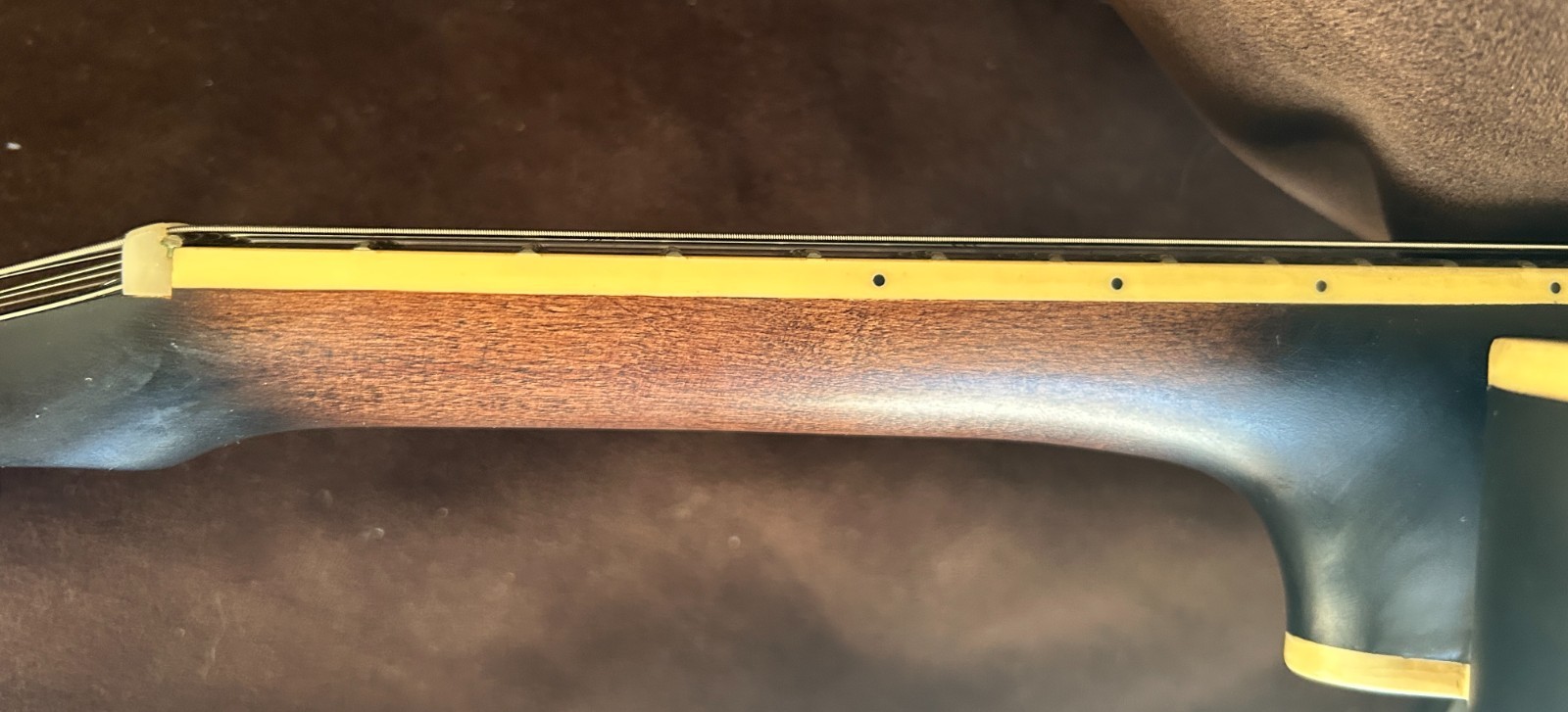 Gold Tone F-6 F-Style Mando-Guitar with Pickup and Case