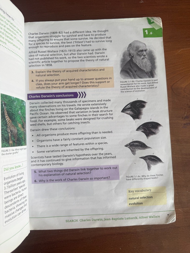 Collins Key Stage 3 Science Student Book 3 - Ed Walsh - Paperback - UK image 6