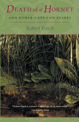 Death of a Hornet and Other Cape Cod Essays Robert Finch Taschenbuch Englisch