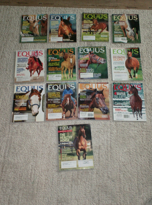Lot 13 Equus magazines 2006 full year January through December & Spring