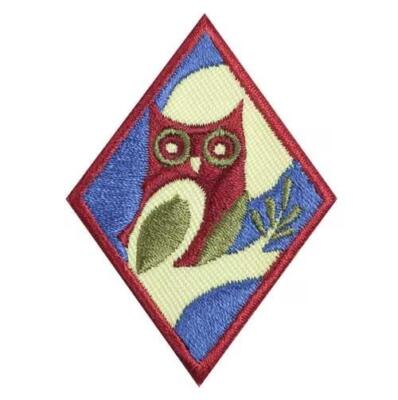 Girl Scouts Cadette Badge Patch NIGHT OWL #61428 Iron On Diamond Yellow  NEW