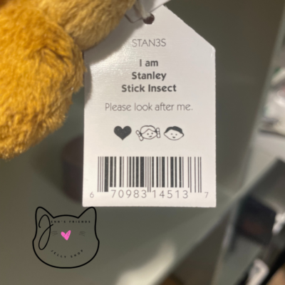 Jellycat STANLEY STICK Insect Bug New BNWT RETIRED Soft Plush Toy