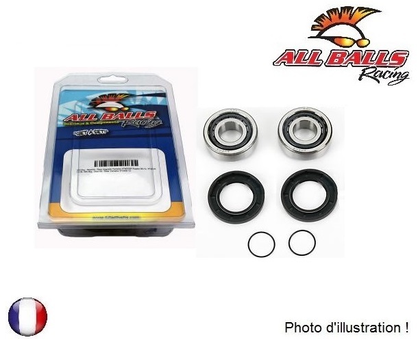 Kit roulements de bras oscillant All Balls haute résistance pour Honda VT1100C2 Y acier traité