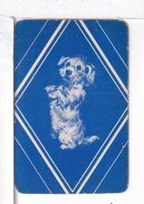 Single Vintage ID Named D og "Shaggy Jr", Miniature Playing Card, MDA-12-6 B