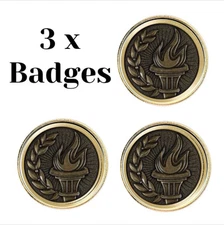 3 x Victory Torch (BU02) Lapel Pin Badges