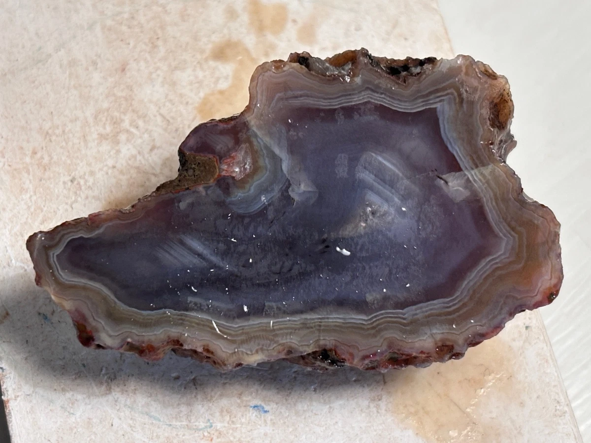 Condor Agate for sale | eBay