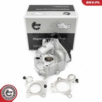 Esen Skv 14SKV259 Agr-Ventil FüR MERCEDES-BENZ