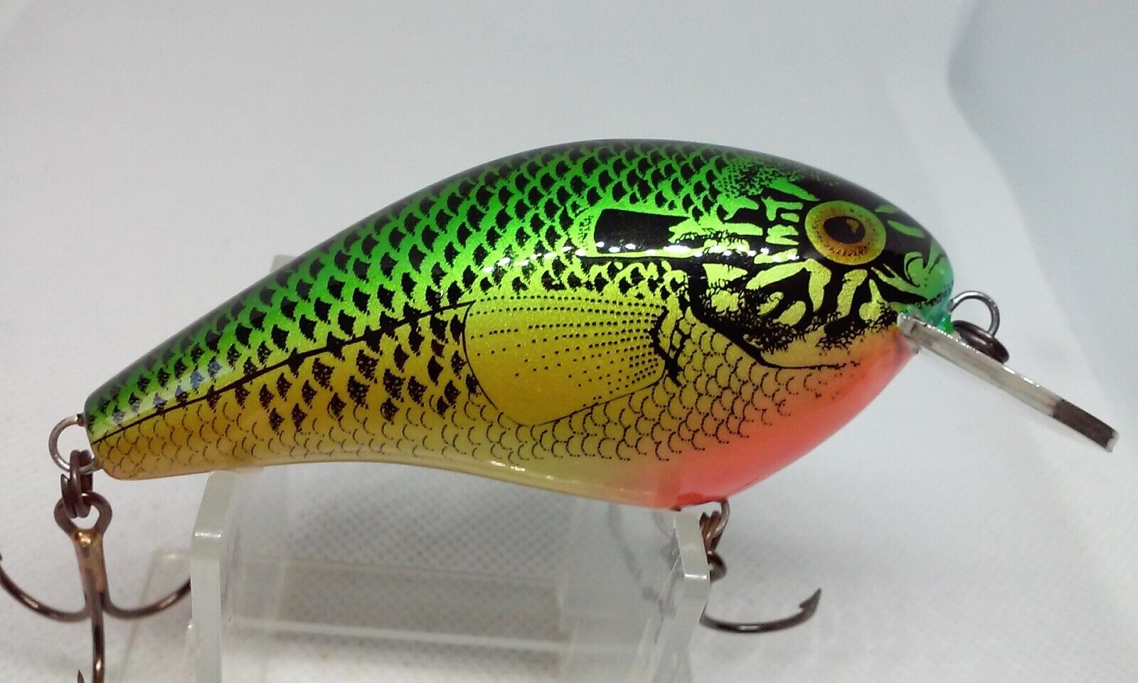 Vintage FRED YOUNG Cotton Cordell Big O Natural Bluegill 3 Square Bill Lure  NOS – IBBY