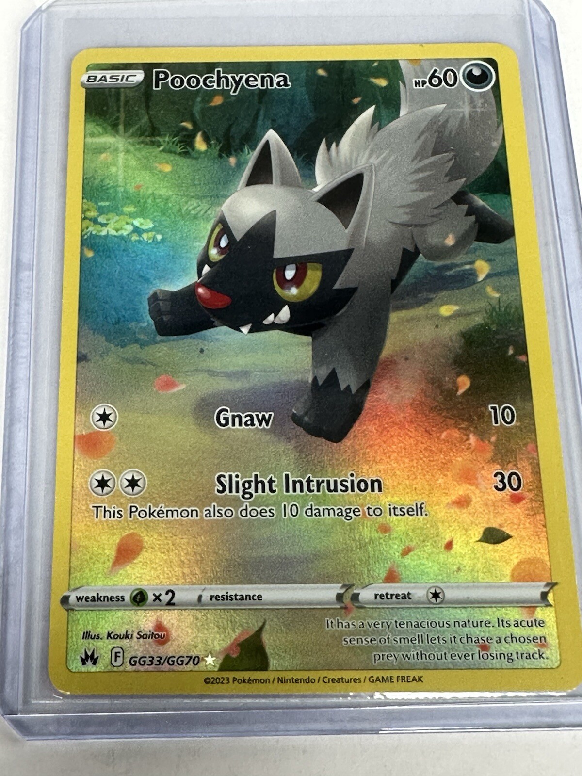 Poochyena GG33/GG70 - Crown Zenith - Ultra Rare Pokémon TCG - NM