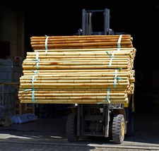 Bambus D 4 - 6 cm x L  180 cm - Naturstein Fliesen Lager Stein-mosaik Herne NRW