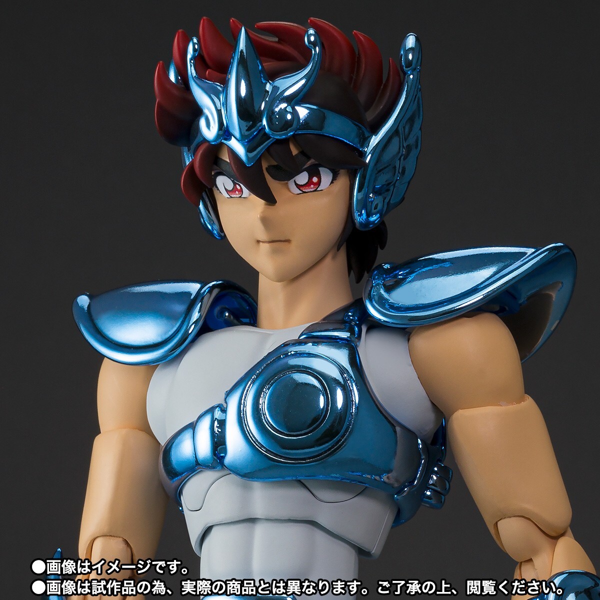 Saint Cloth Myth Pegasus Seiya Early Bronze Cloth Original Version