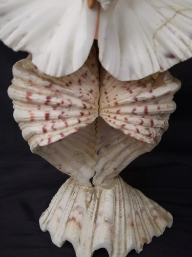 Scultura gufo formato da conchiglie modernariato - Picture 5 of 6