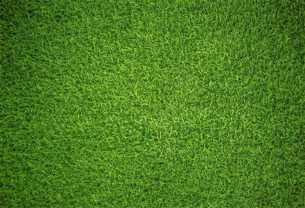 Arri re plan comestible imprim terrain de football en herbe A4 FEUILLE DE GLA