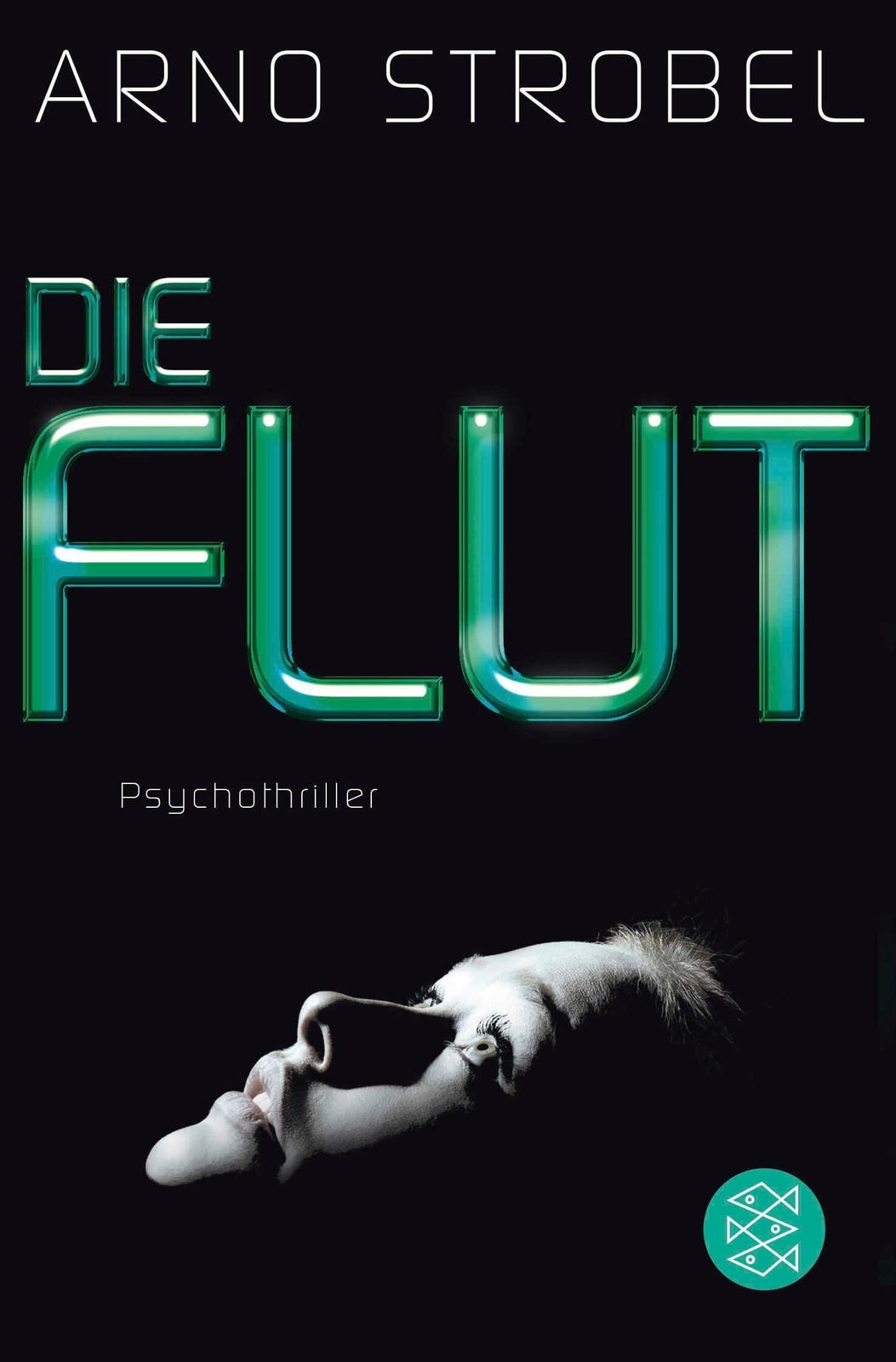 Thumbnail - Arno Strobel / Die Flut / 9783596198351