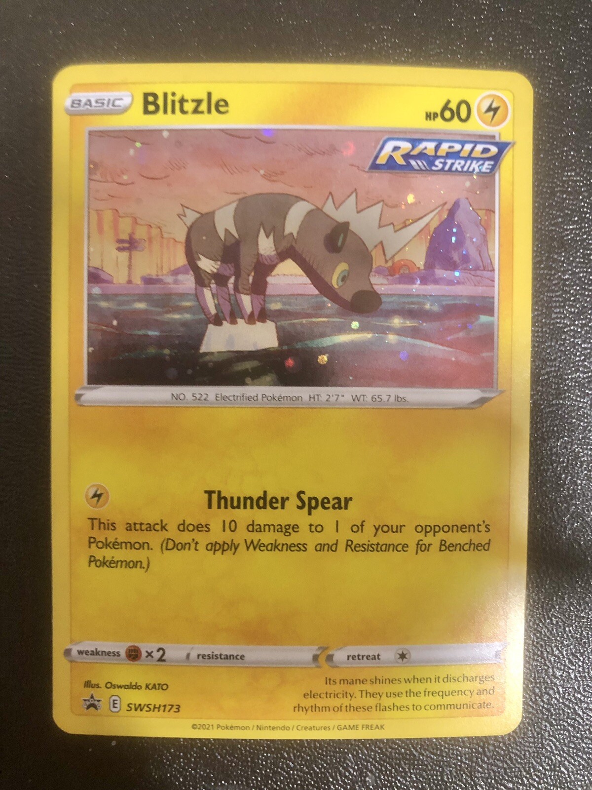 Blitzle Black Star Promo SWSH173 Pokemon TCG HOLO RARE🔥🚀