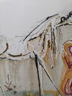 Bild 8 von 9