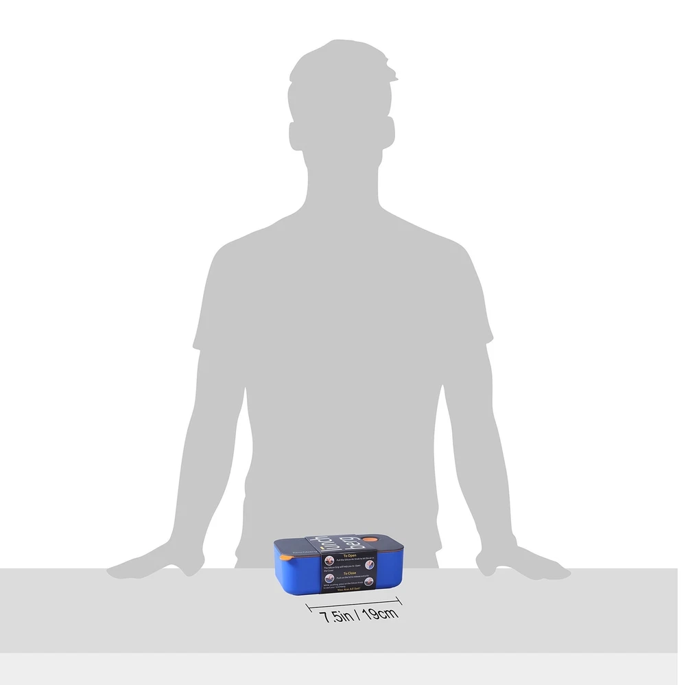 Leak Proof Compact Bento Lunch Box With 2 Compartments In Blue