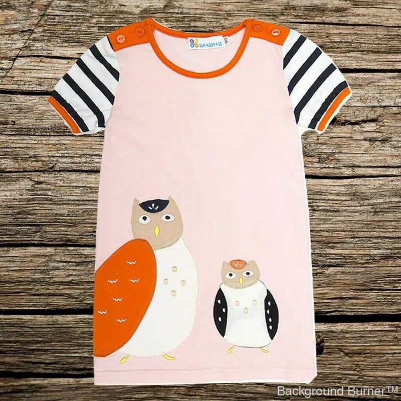 NEW Girls Pink Owl Short Sleeve Shift Dress 2T