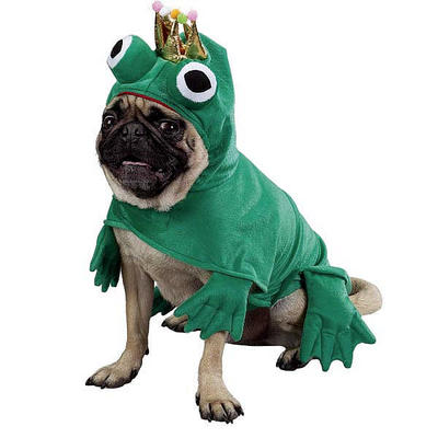 Zack & Zoey PRINCE OF FROGS Green Plush Easy-On/Off Polyestr Halloween Big Eyes 