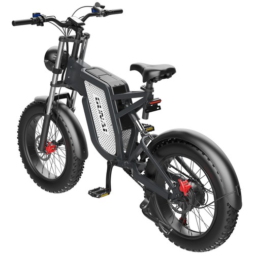 1000W 48V25AH Fat tire dirt elektrische fiets, professionele shimano 7 speed - Bild 9 von 10