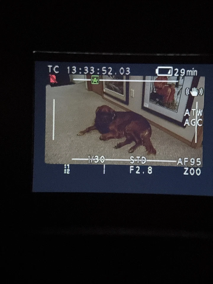 Panasonic AG-HMC150P ACCAM 3CCD Professional Video Audio HD SDHC Camcorder 82HRS - Image 2 of 4